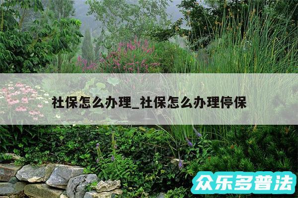 社保怎么办理_社保怎么办理停保
