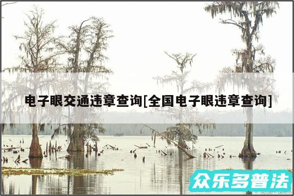电子眼交通违章查询及全国电子眼违章查询