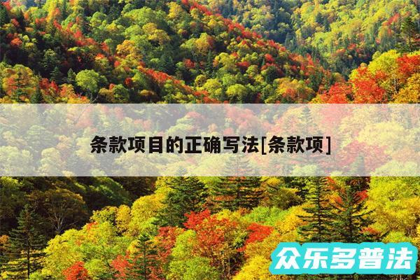 条款项目的正确写法及条款项