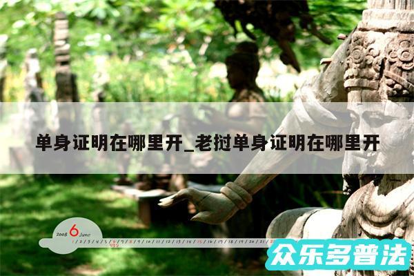 单身证明在哪里开_老挝单身证明在哪里开