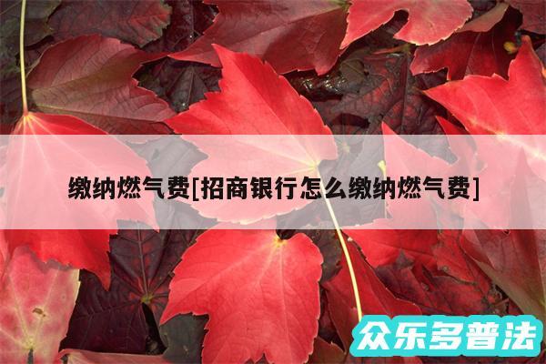 缴纳燃气费及招商银行怎么缴纳燃气费