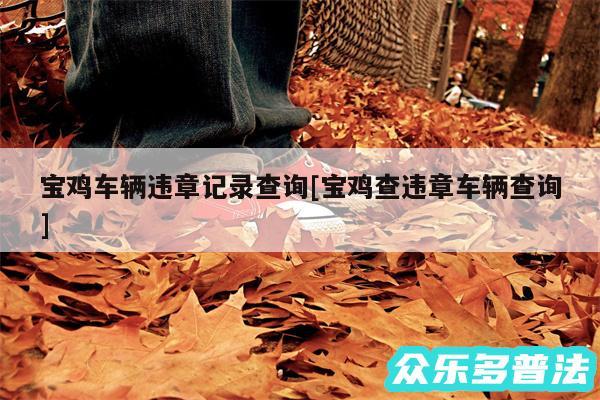 宝鸡车辆违章记录查询及宝鸡查违章车辆查询