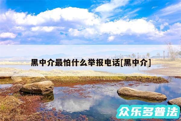 黑中介最怕什么举报电话及黑中介