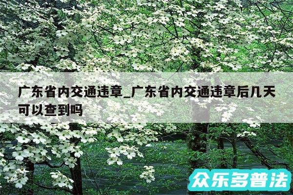 广东省内交通违章_广东省内交通违章后几天可以查到吗